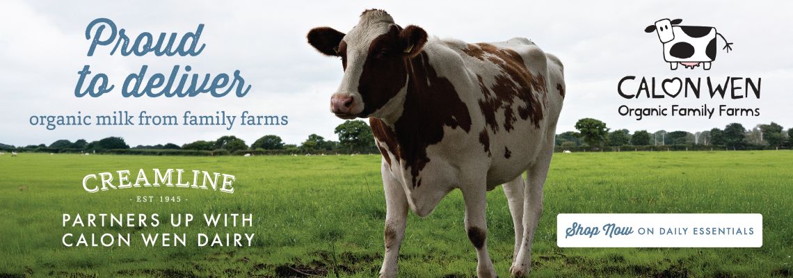 Best of Local banner 2