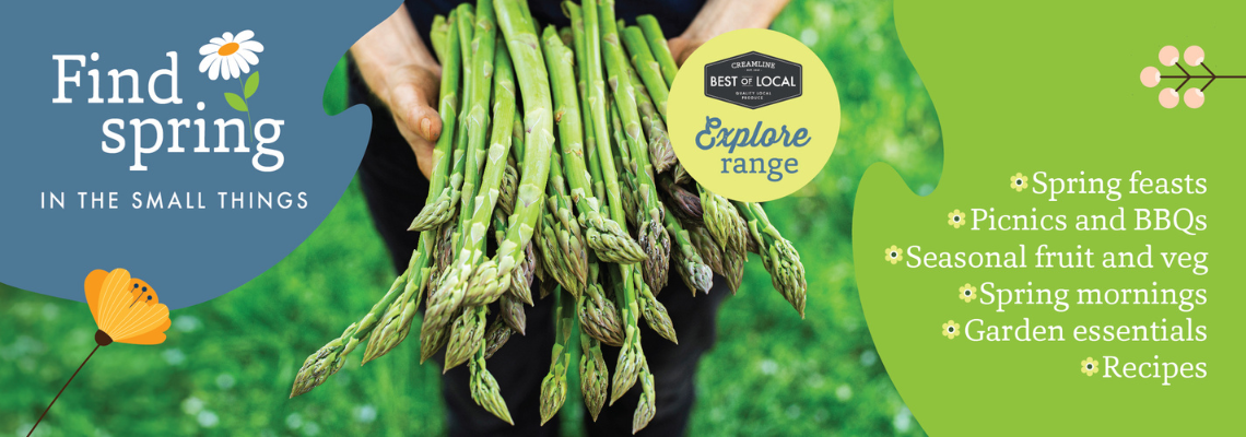 Best of Local banner 1