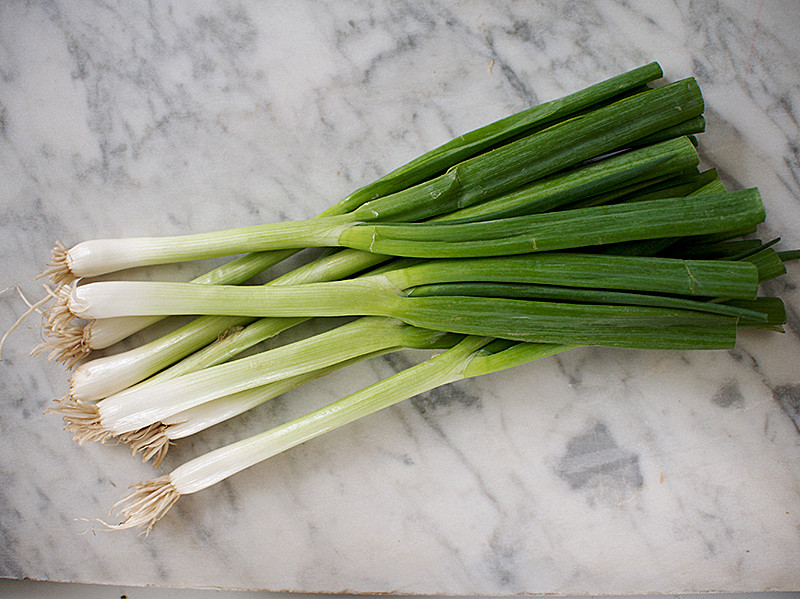 Bunch Of Spring Onions