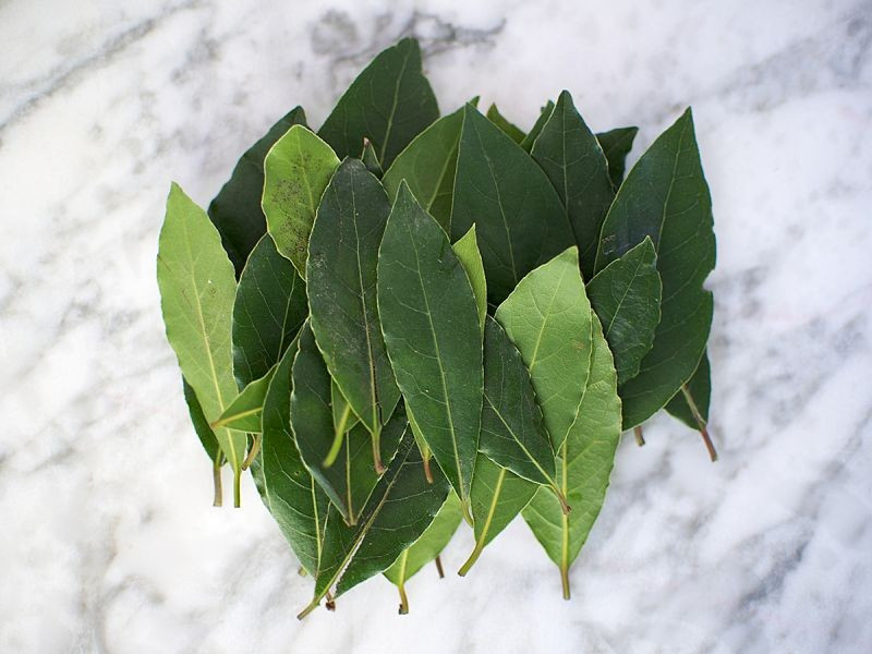 Fresh Bay Leaf (50g pack)
