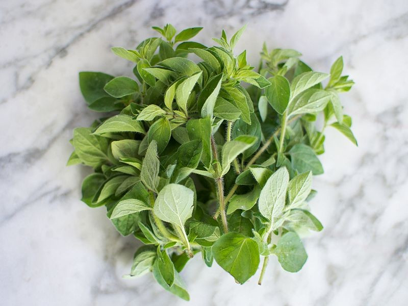 Fresh Oregano (50g pack)