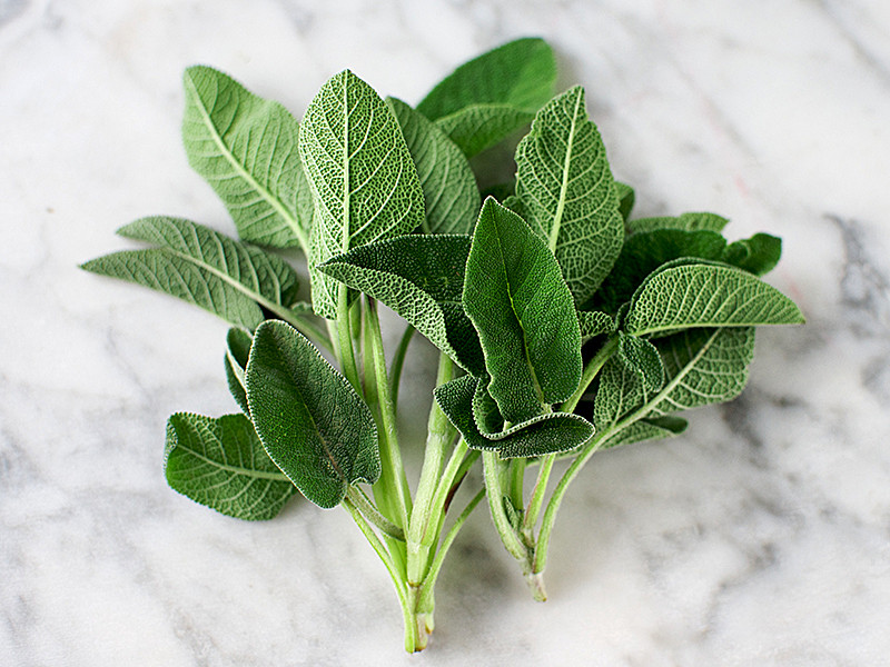Fresh Sage (50g pack)