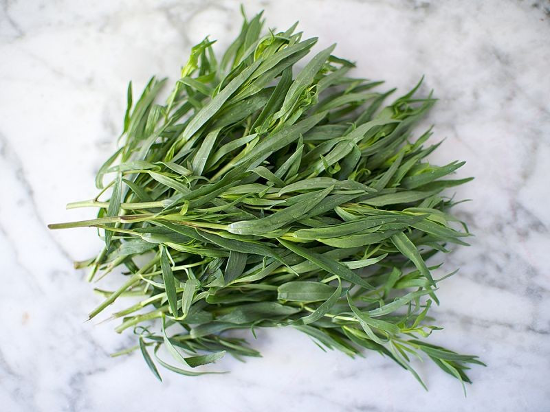 Fresh Tarragon (50g pack)