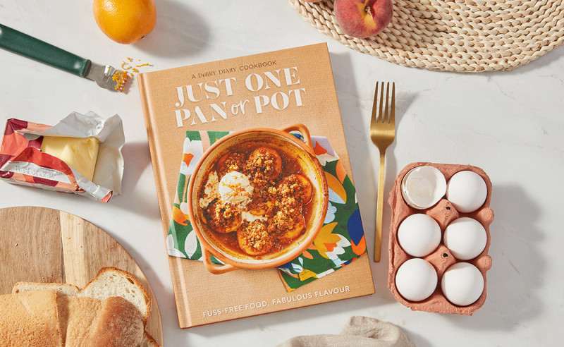 Just One Pan Or Pot Cook Book