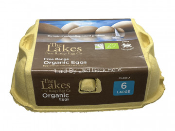 Organic Free Range Eggs x 6