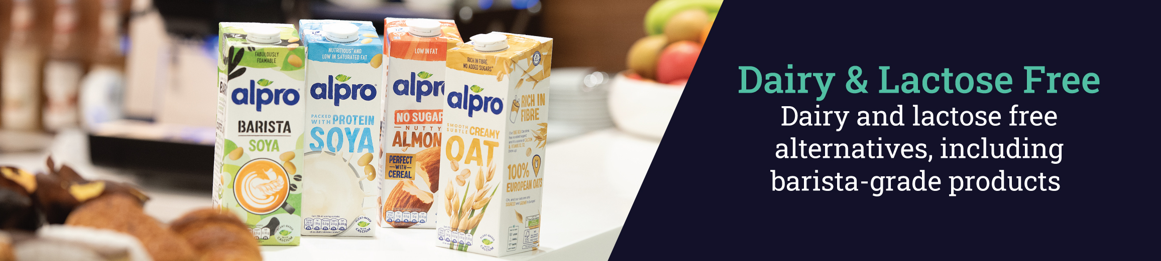 Dairy & Lactose Free