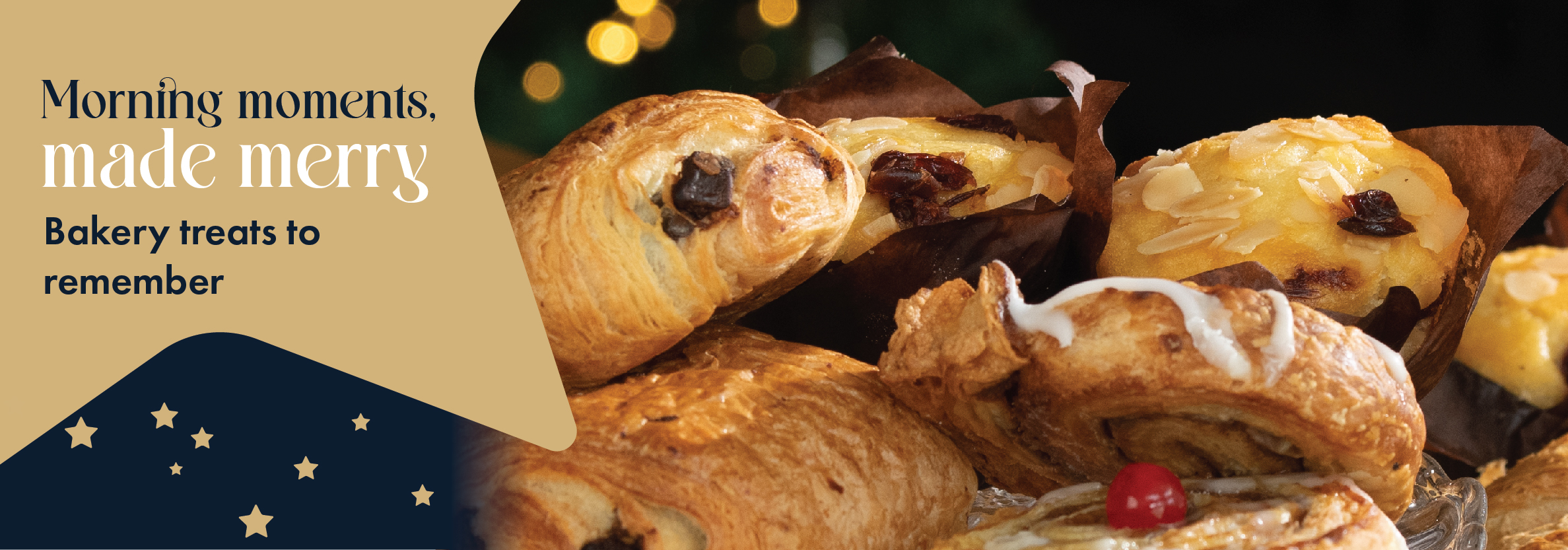 Christmas Range banner 4