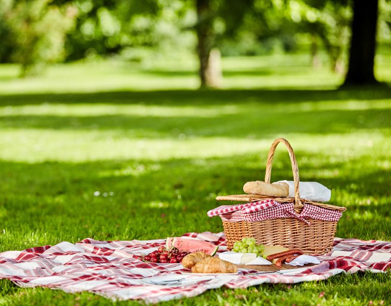 Picnic delights