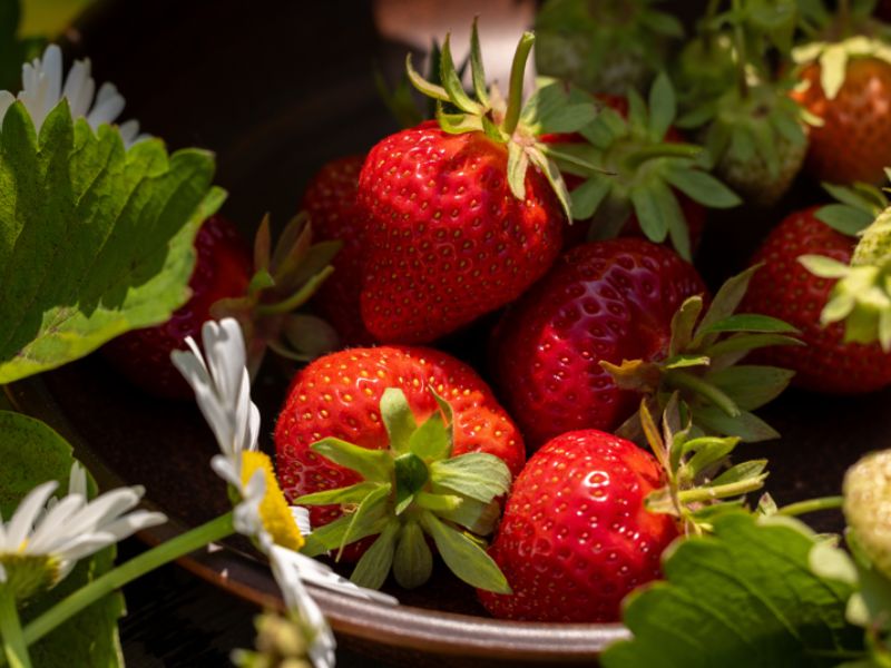 Seasonal fruit & veg
