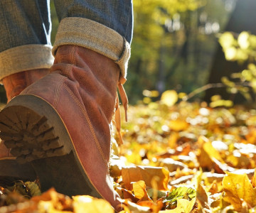 Fall for the great outdoors this autumn