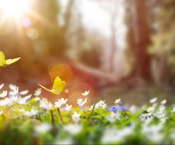 Five signs that spring has finally sprung