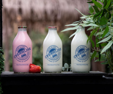 From medicine to a much-loved treat: the unusual journey of flavoured milks