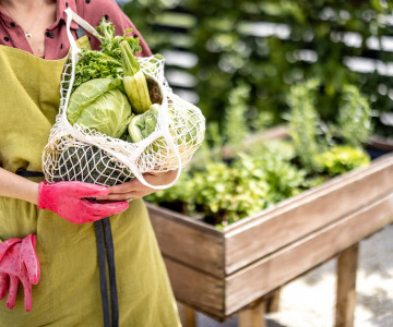 Gardening your way to a longer summer