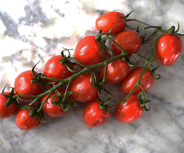 Ketchup with the latest! It's British Tomato Week