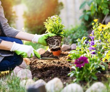 Spruce up your garden in time for spring