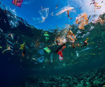 This National Marine Week Turn off the Plastic Tap