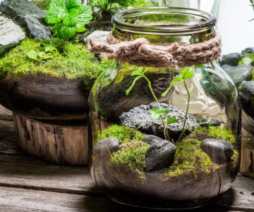 Three fun and eco-friendly ways to repurpose your glass jars and pots