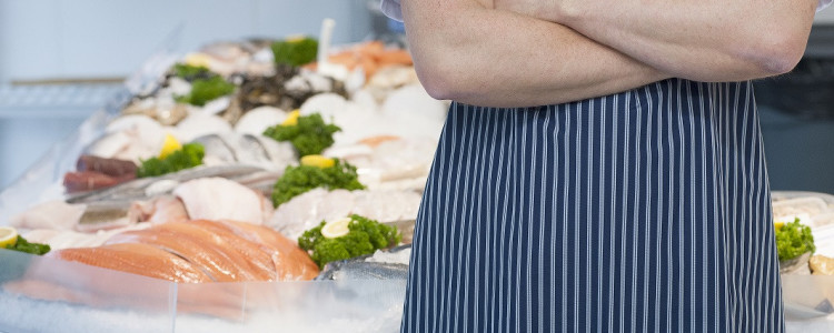 Dive in to our new fish range