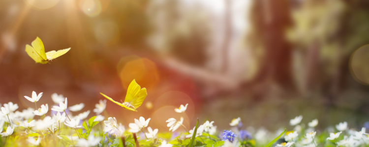 Five signs that spring has finally sprung