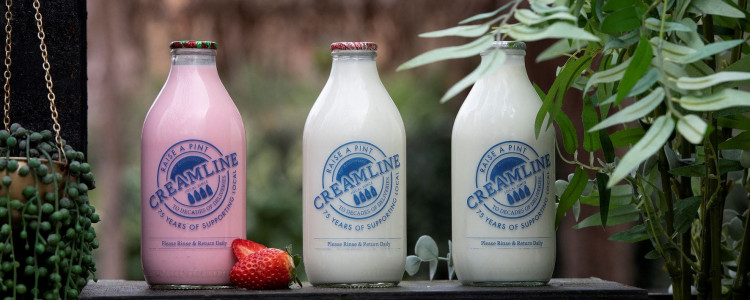 From medicine to a much-loved treat: the unusual journey of flavoured milks