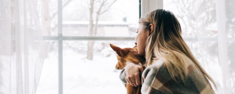 How to brighten up January blues