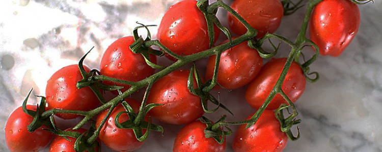 It’s Tomato Week!