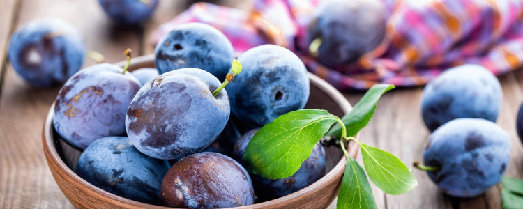Plum-believable produce this National Plum Day!