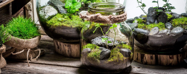 Three fun and eco-friendly ways to repurpose your glass jars and pots