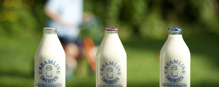 World School Milk Day Celebrations